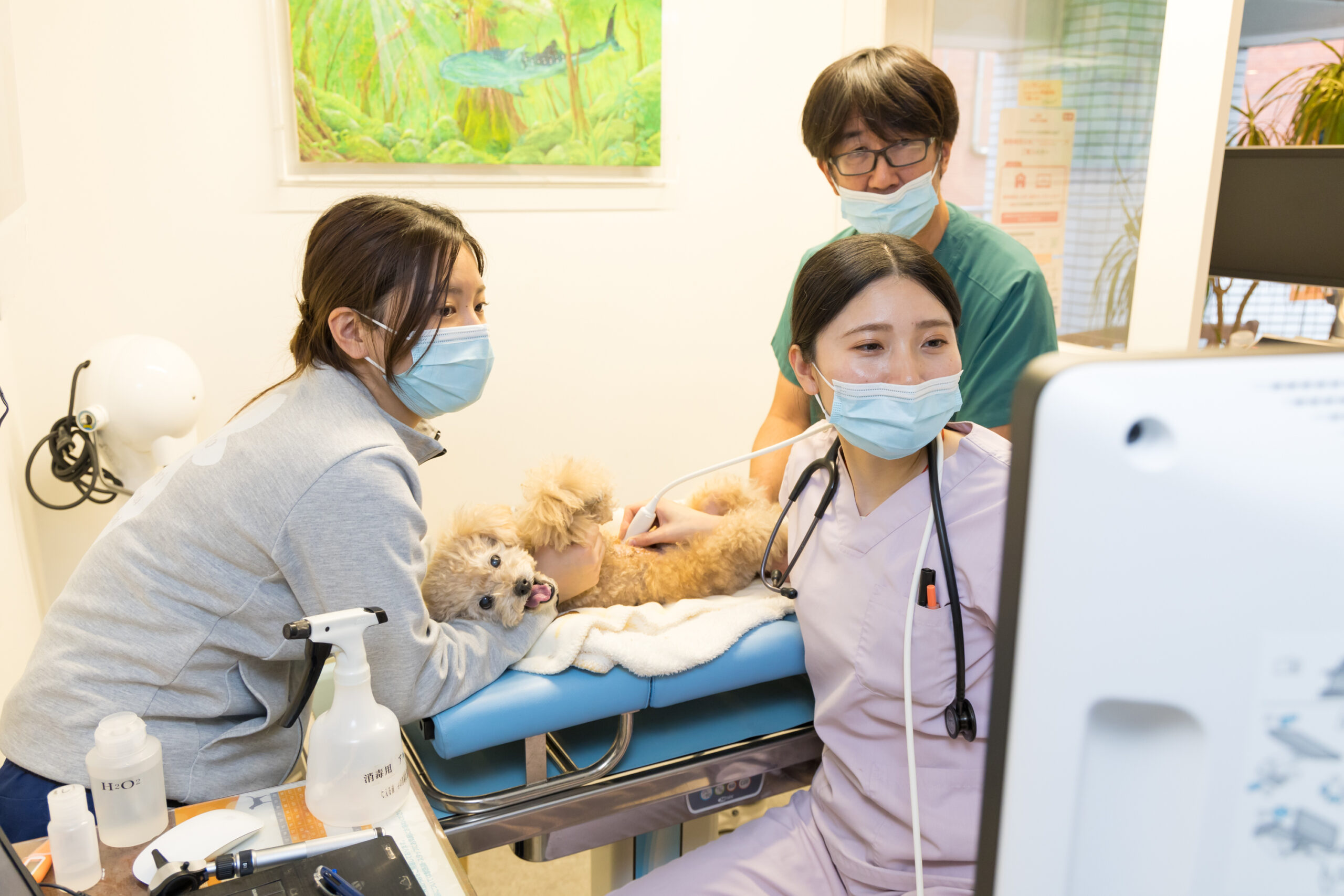 広尾の森どうぶつ病院