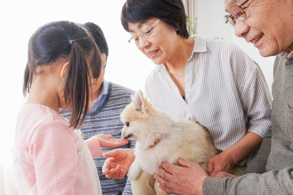 ペットにストレスをかけないしつけ教室の選び方