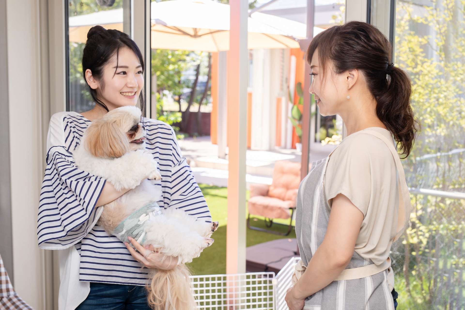 愛犬と遊ぶ女性