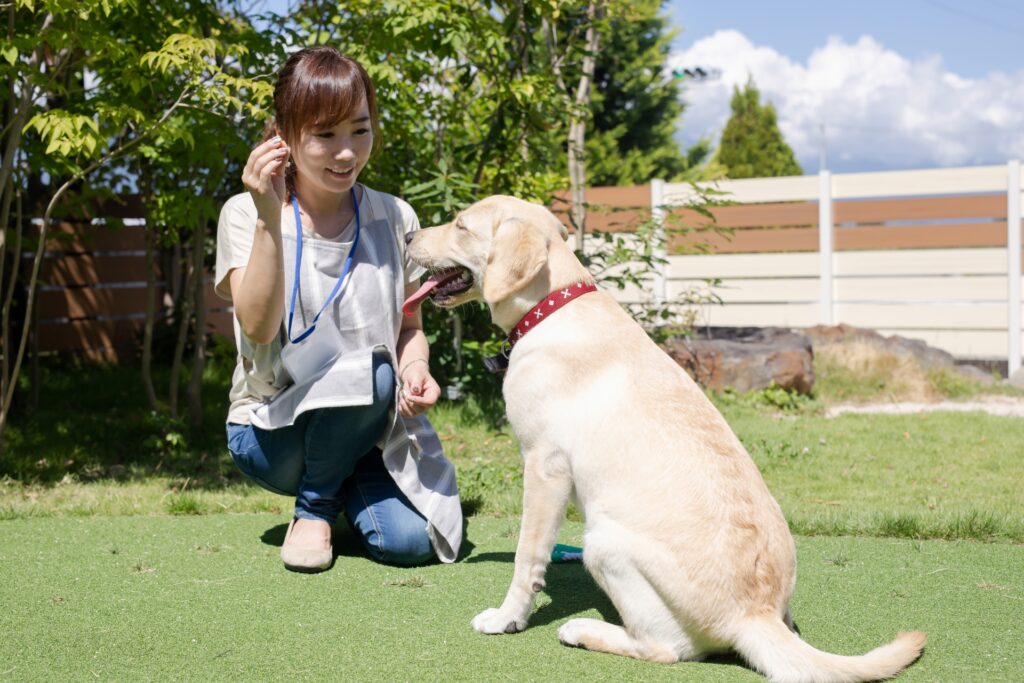 しつけ教室とペットの相性