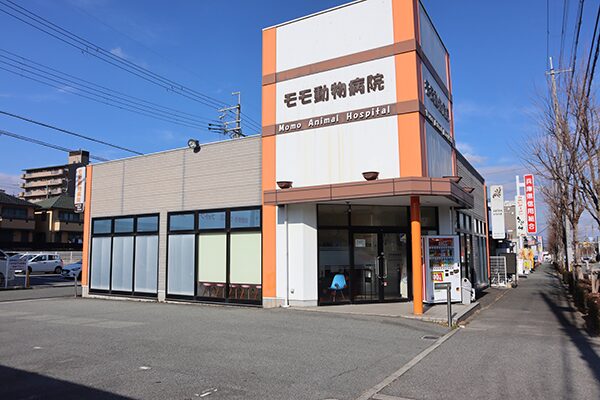モモ動物病院