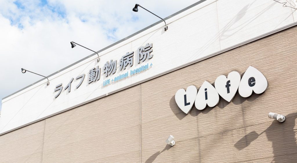 ライフ動物病院
