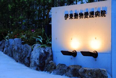 伊東動物愛護病院