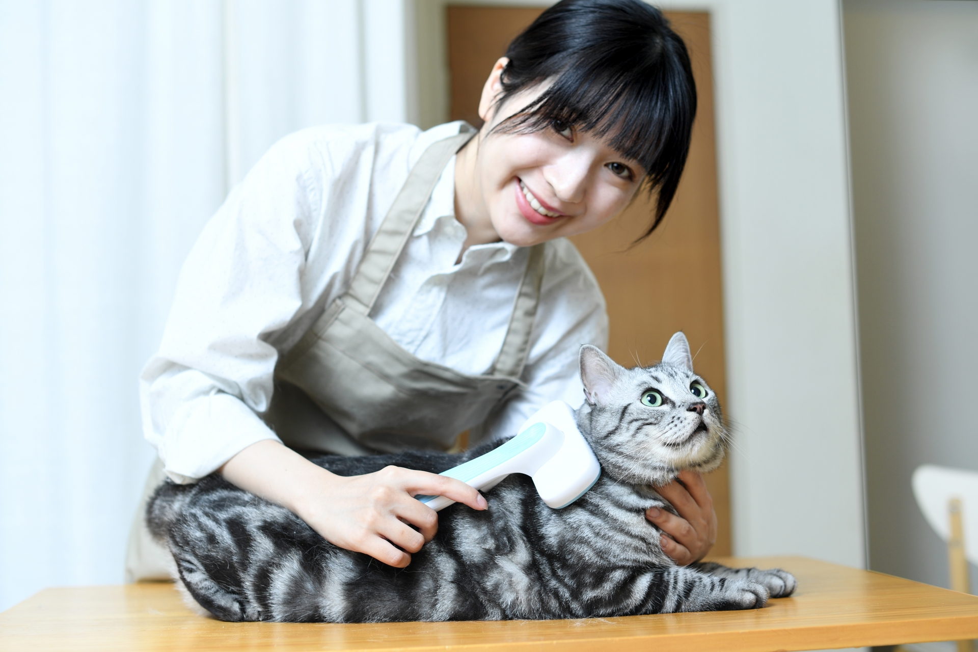 猫の毛並みを整えるトリマーの女性