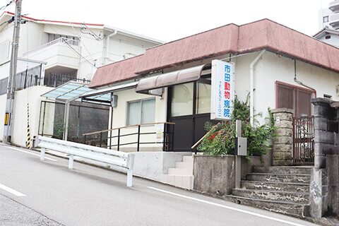 市田動物病院