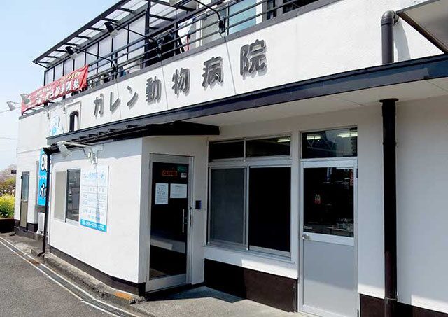 ガレン動物病院