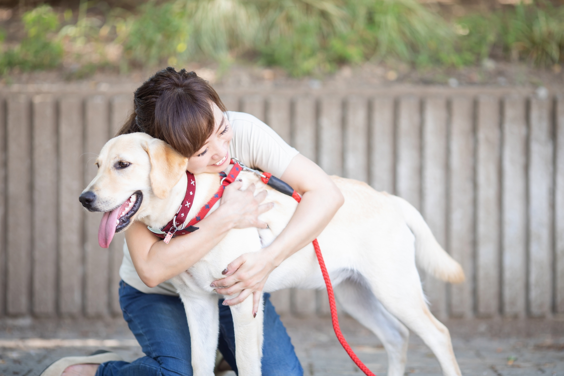 犬の散歩をする女性