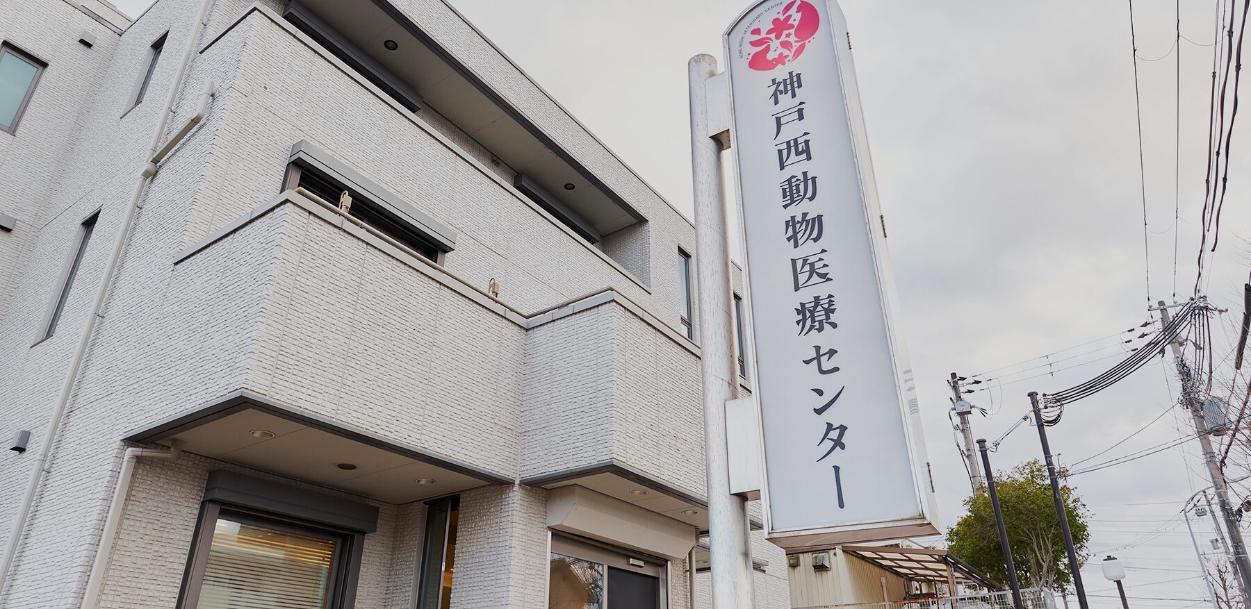 神戸西動物医療センター