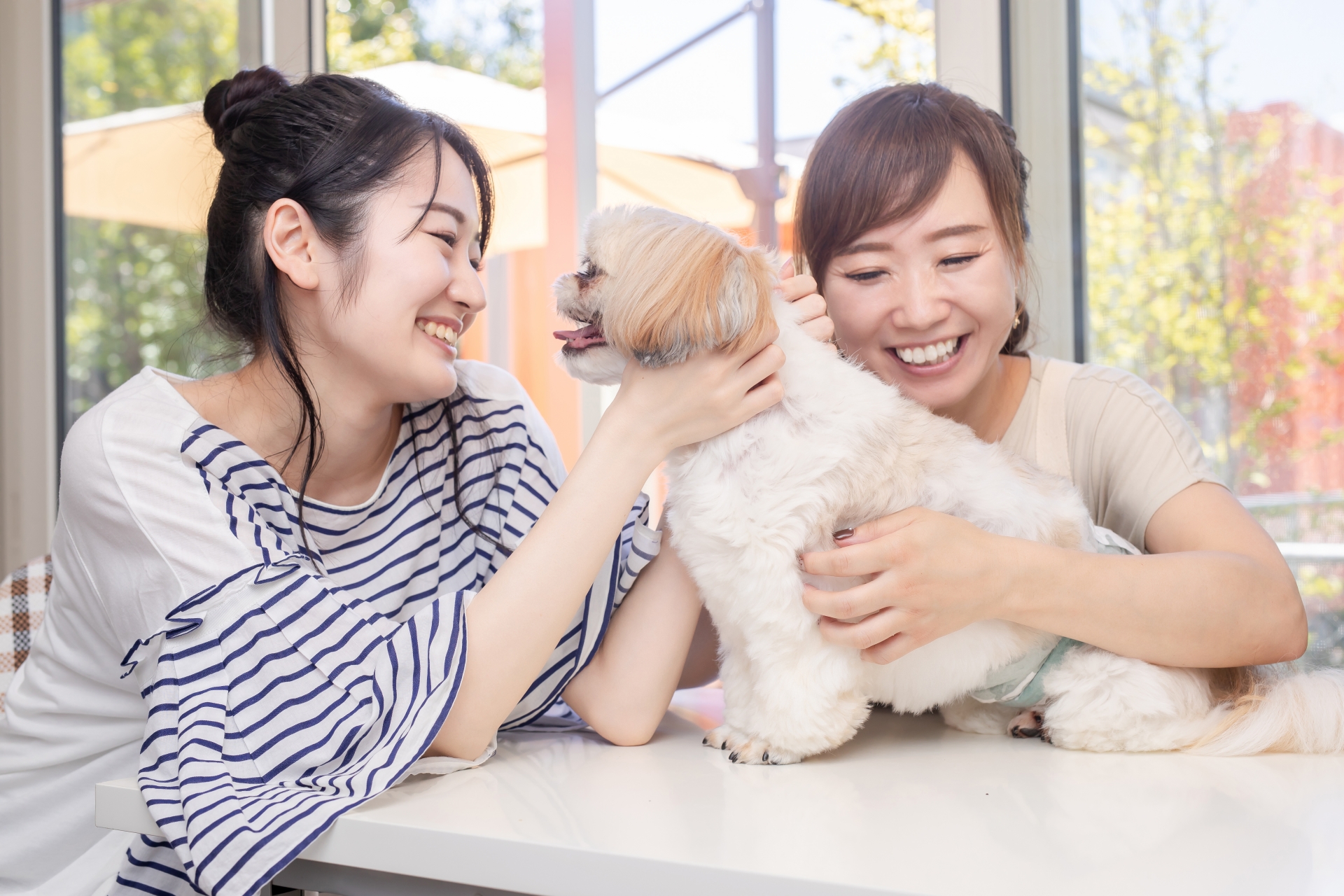 愛犬と遊ぶ女性