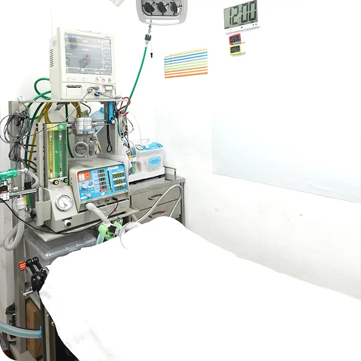 エルマーどうぶつ病院photo