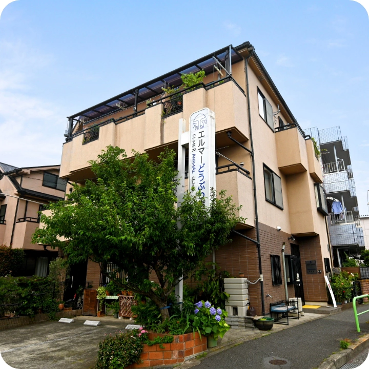 エルマーどうぶつ病院photo