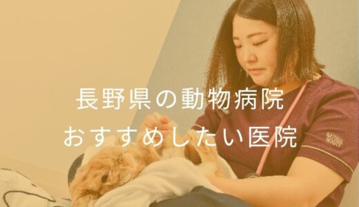 【2026年】長野県の動物病院 おすすめしたい6医院