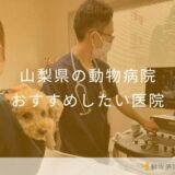 【2025年】山梨県の動物病院 おすすめしたい6医院