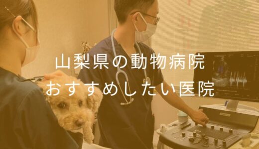 【2025年】山梨県の動物病院 おすすめしたい7医院