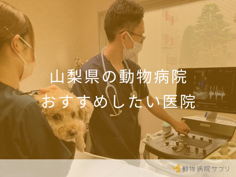 山梨県の動物病院 おすすめしたい医院