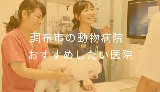 【2025年】調布市の動物病院 おすすめしたい5医院