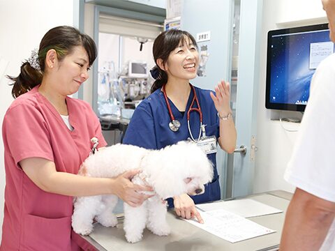 つつじヶ丘動物病院