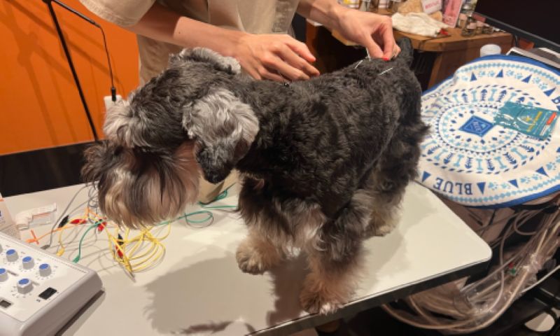 わかば犬猫病院 横浜西口駅前photo