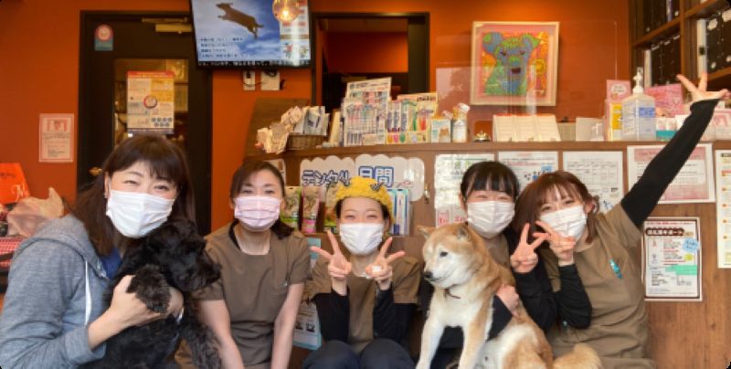 わかば犬猫病院 横浜西口駅前photo