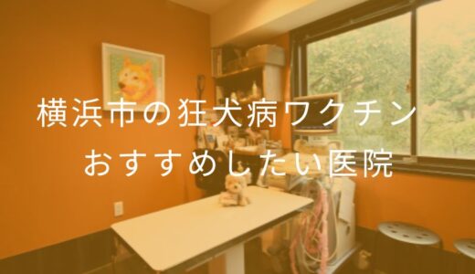 【2025年】横浜市の狂犬病ワクチン おすすめしたい2医院