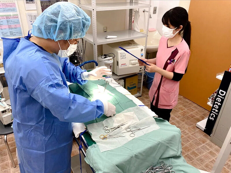 よつばアニマルクリニック