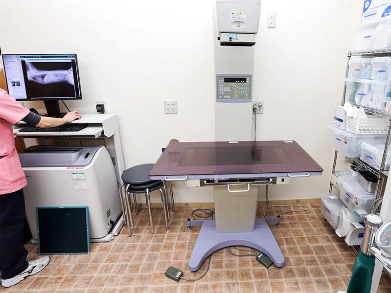 よつばアニマルクリニック