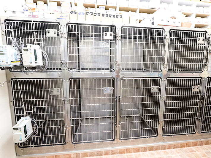 よつばアニマルクリニック