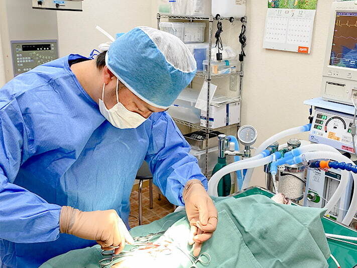 よつばアニマルクリニック