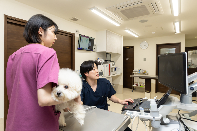 円山動物病院photo