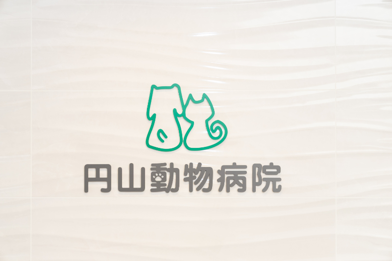 円山動物病院photo