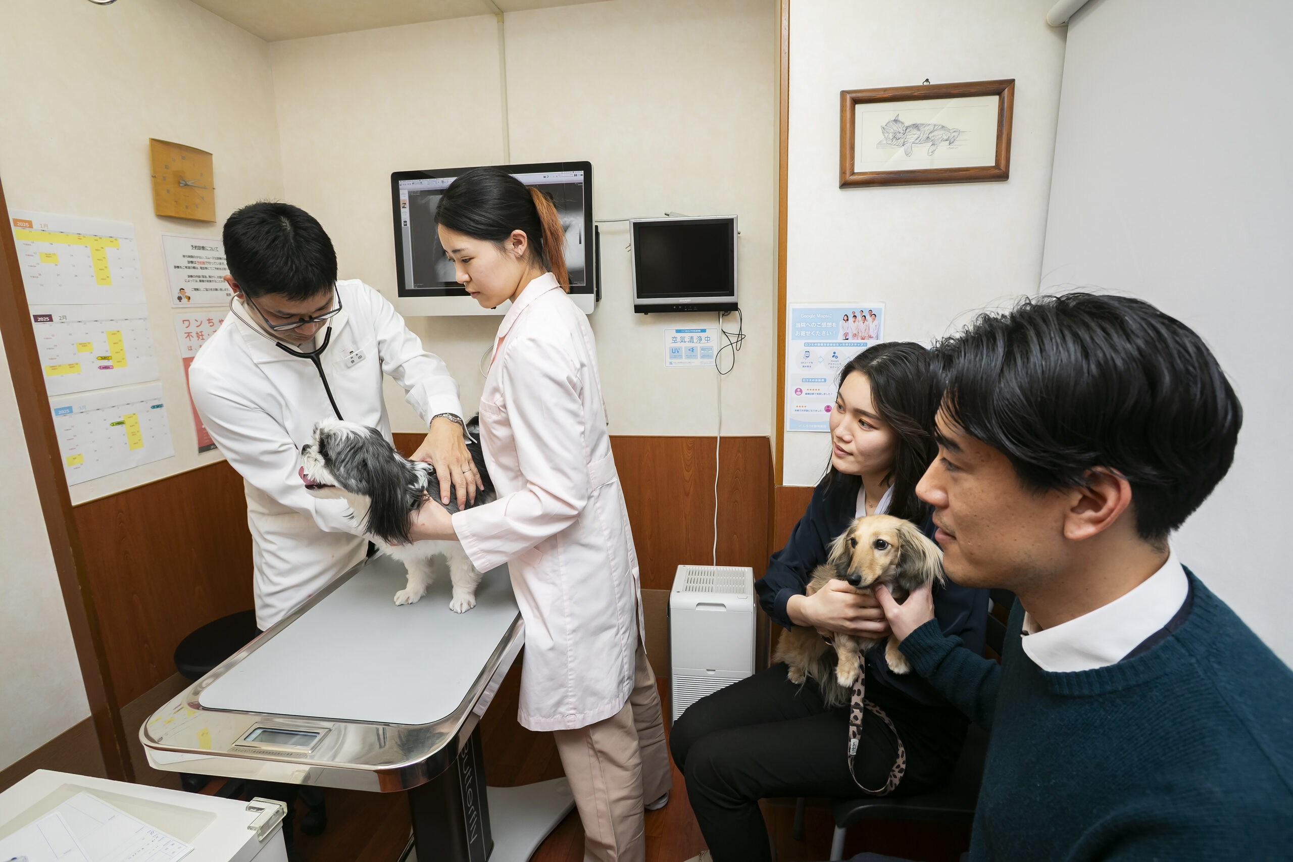 しろうま動物病院photo