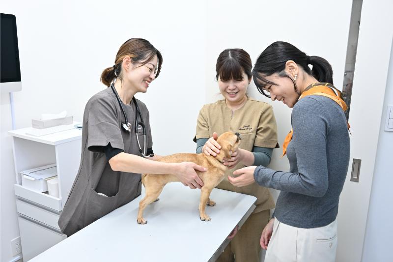 よもぎ動物病院