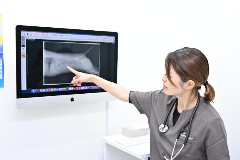 よもぎ動物病院