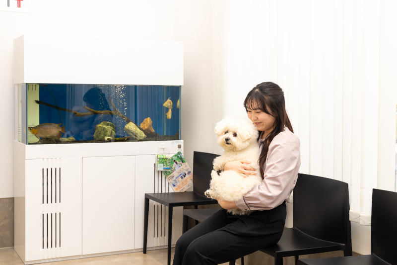 円山動物病院photo