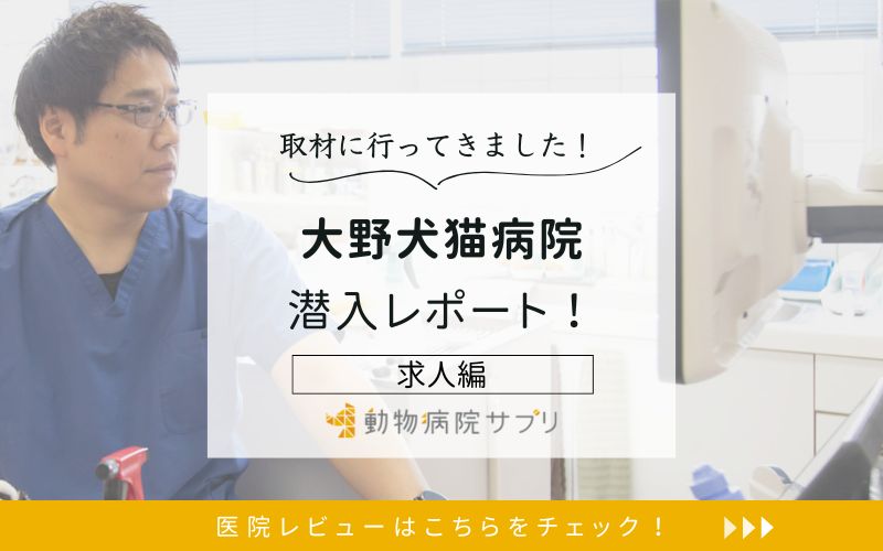 大野犬猫病院