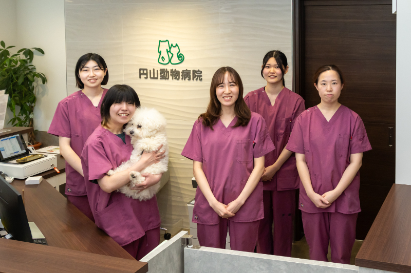 円山動物病院photo