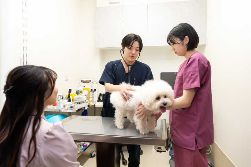 円山動物病院photo