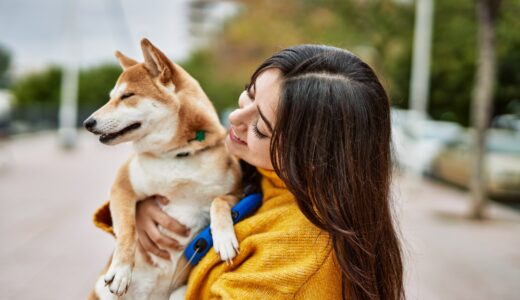 柴犬にトリミングは必要？自宅で行えるお手入れ方法なども併せて紹介します！
