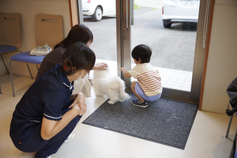 名古屋みなとテイルズ犬猫病院photo