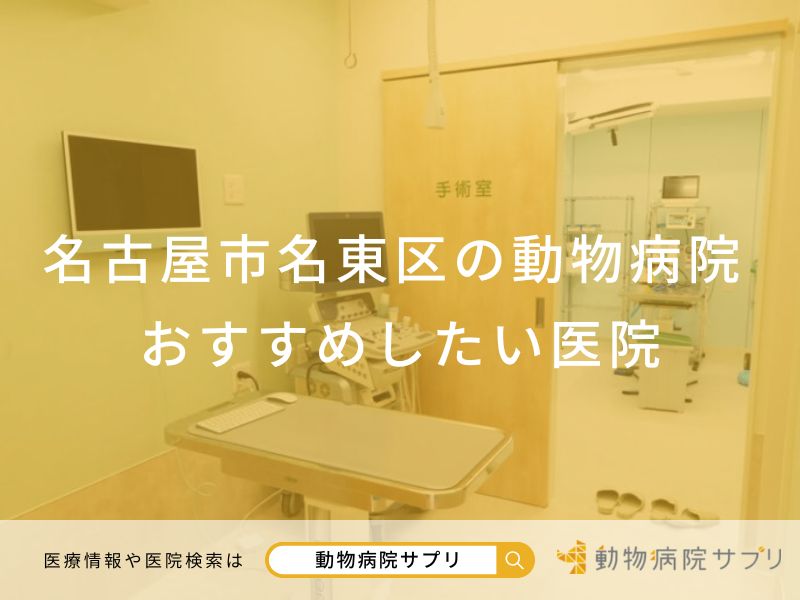 名古屋市名東区の動物病院 おすすめしたい医院