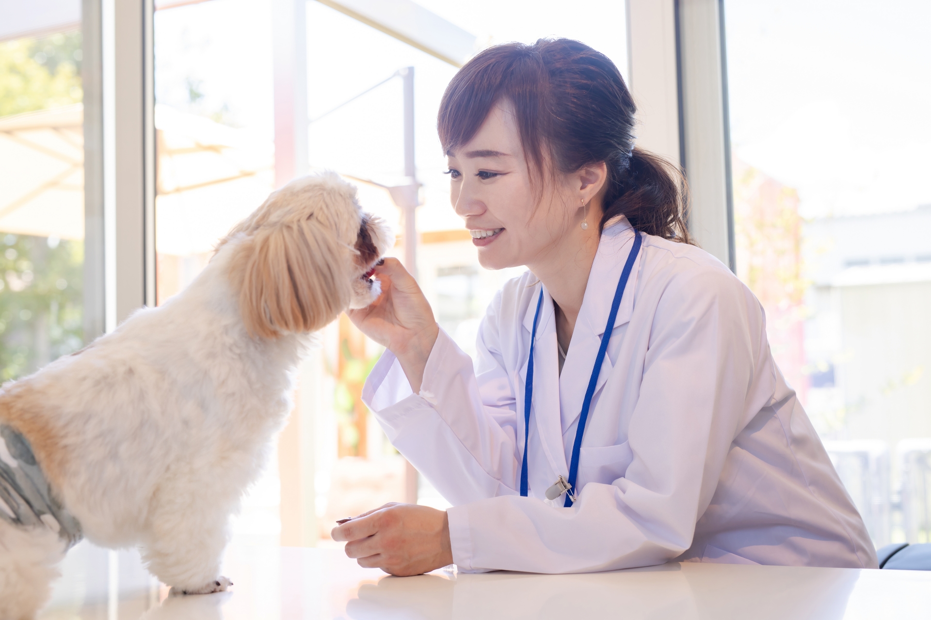 獣医さんと犬