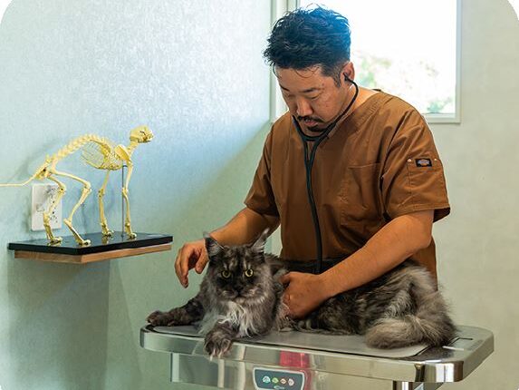 けい犬猫クリニック