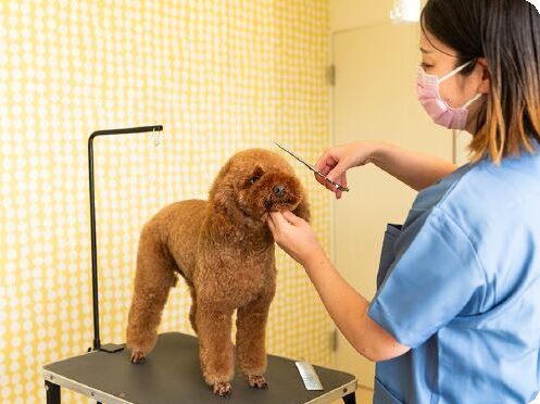 けい犬猫クリニック