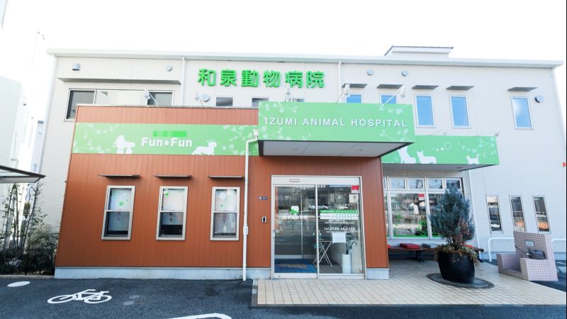 和泉動物病院