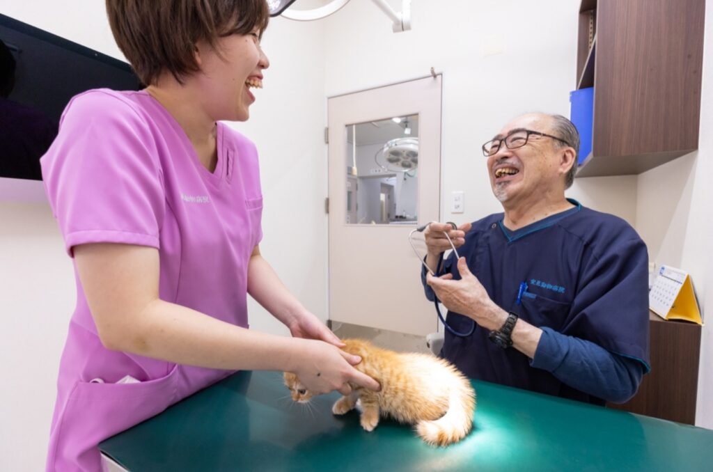 高島平手塚動物病院photo