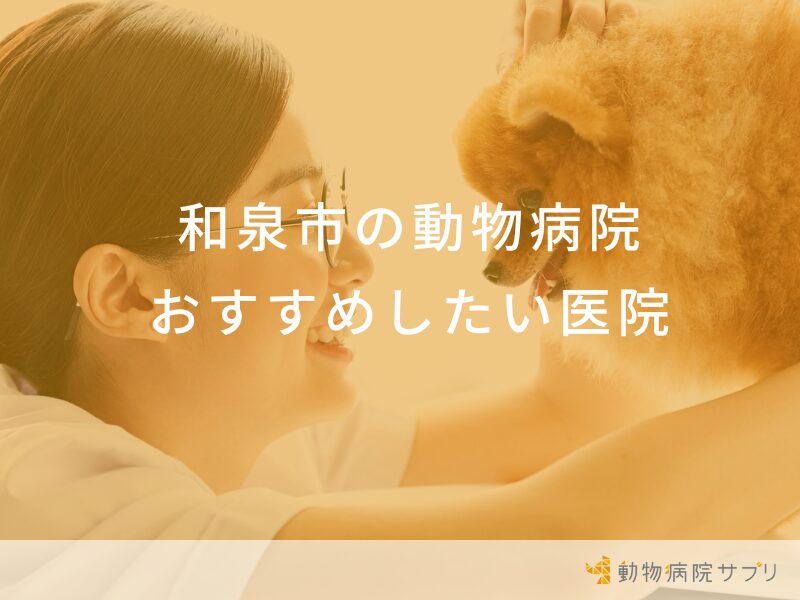 和泉市の動物病院 おすすめしたい医院