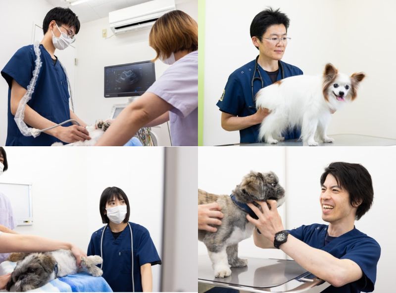 川瀬獣医科病院