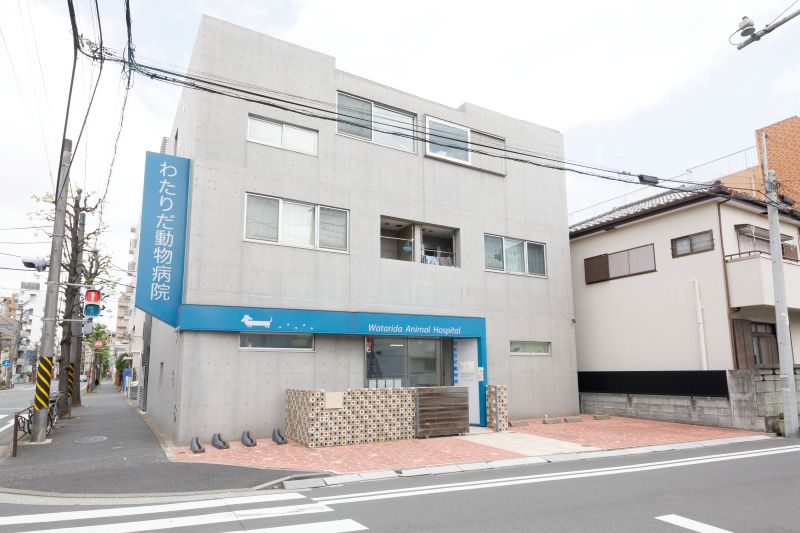 わたりだ動物病院
