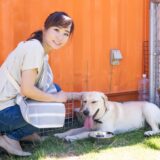 犬が水をたくさん飲む原因は？症状や多飲の判断基準・対処法を解説