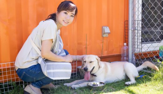 犬が水をたくさん飲む原因は？症状や多飲の判断基準・対処法を解説